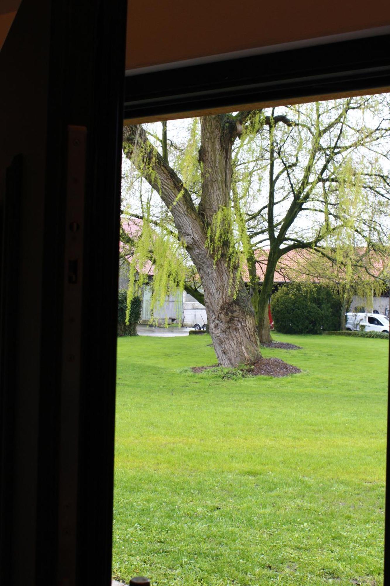 Appartamento Weitblick - Ruhepol In Muensterlaender Parklandschaft Dülmen Esterno foto